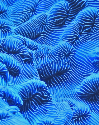 3-Mar-30-2026-01-31-10-3525-AM