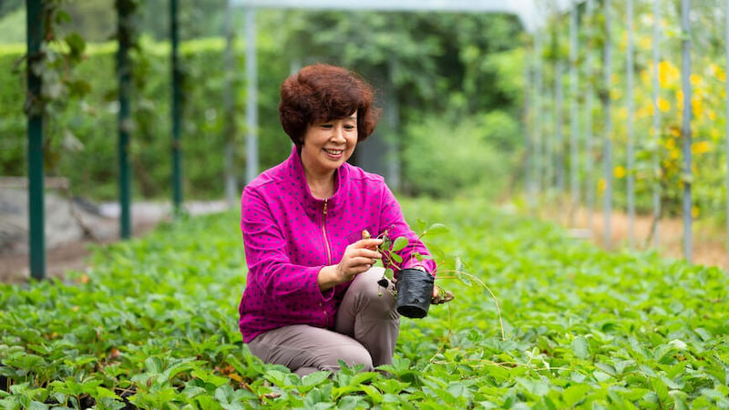 what-to-do-in-retirement-person-gardening