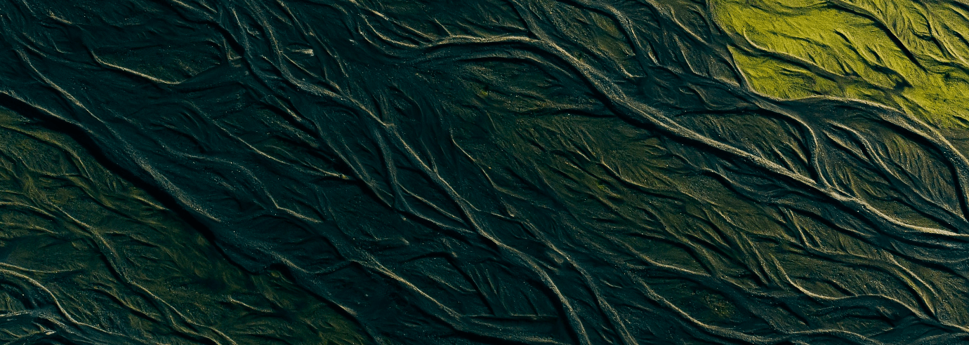 Frame 2147206648 (1)