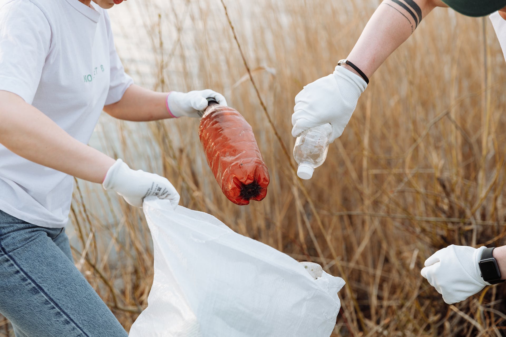 girl-and-guy-grabbing-trash-and-putting-it-into-a-trash-bag-15-questions-to-discover-your-life-purpose