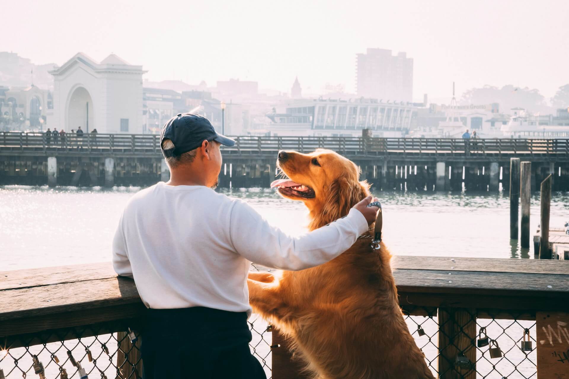 man in white shirt and baseball cap with golden retriever