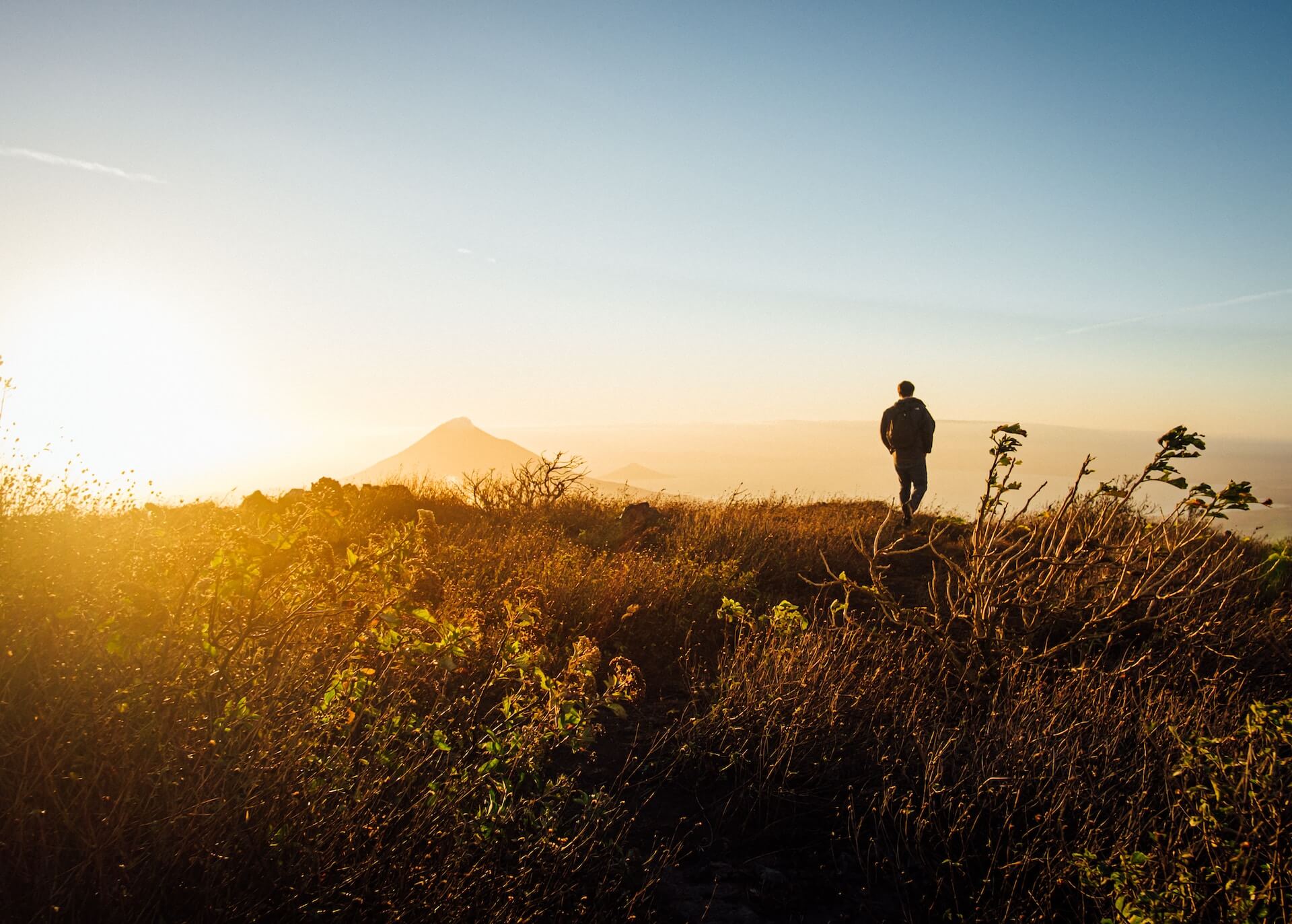 person walking through field at twilight with mountains in the background